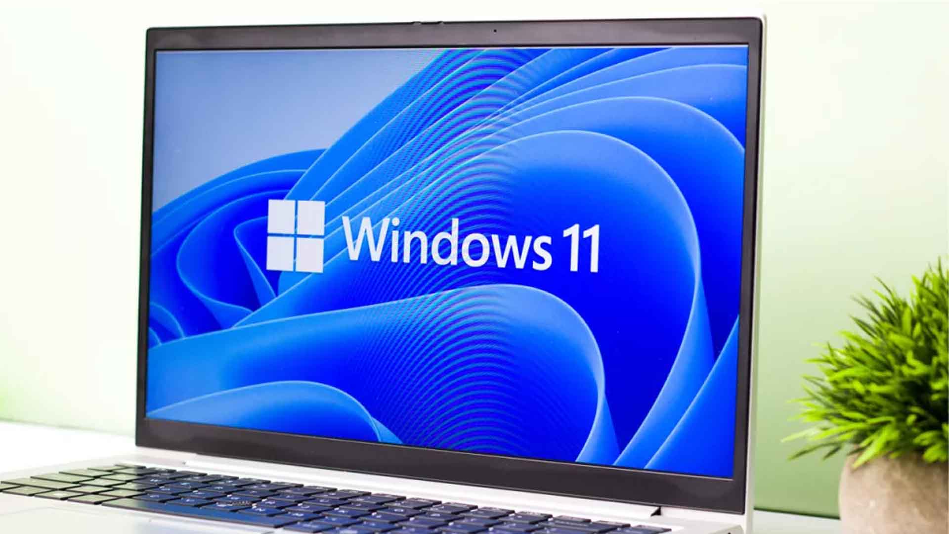 win11